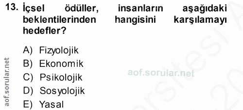 13. soru: İçsel ödüller, insanların aşağıdaki beklentilerinden hangisini karşılamayı hedefler? A) Fizyolojik B) Ekonomik C) Psi…