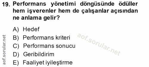 19. soru: Performans yönetimi döngüsünde ödüller hem işverenler hem de çalışanlar açısından ne anlama gelir? A) Hedef B) Perfor…