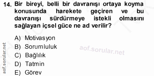 14. soru: Bir bireyi, belli bir davranışı ortaya koyma konusunda harekete geçiren ve bu davranışı sürdürmeye istekli olmasını s…