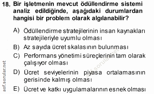 18. soru: Bir işletmenin mevcut ödüllendirme sistemi analiz edildiğinde, aşağıdaki durumlardan hangisi bir problem olarak algıl…