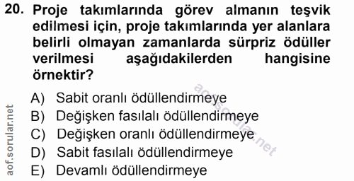 20. soru: Proje takımlarında görev almanın teşvik edilmesi için, proje takımlarında yer alanlara belirli olmayan zamanlarda sür…