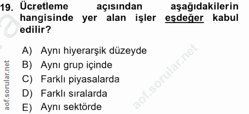 19. soru: Ücretleme açısından aşağıdakilerin hangisinde yer alan işler eşdeğer kabul edilir? A) Aynı hiyerarşik düzeyde B) Aynı…