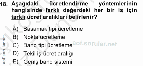 18. soru: Aşağıdaki ücretlendirme yöntemlerinin hangisinde farklı değerdeki her bir iş için farklı ücret aralıkları belirlenir?…