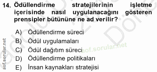 14. soru: Odüllendirme stratejilerinin işletme içerisinde nasıl uygulanacağını gösteren prensipler bütününe ne ad verilir? A) Ö…