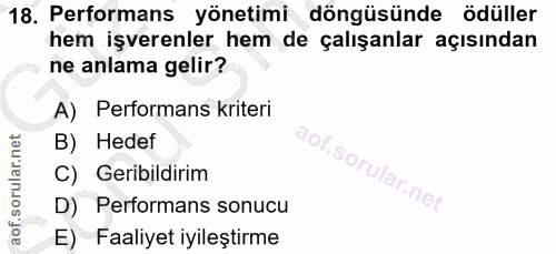 18. soru: Performans yönetimi döngüsünde ödüller hem işverenler hem de çalışanlar açısından ne anlama gelir? A) Performans krit…