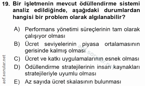 19. soru: Bir işletmenin mevcut ödüllendirme sistemi analiz edildiğinde, aşağıdaki durumlardan hangisi bir problem olarak algıl…