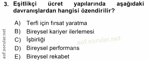 3. soru: Eşitlikçi ücret yapılarında aşağıdaki davranışlardan hangisi özendirilir? A) Terfi için fırsat yaratma B) Bireysel ka…