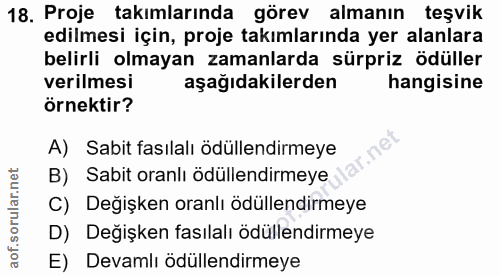 18. soru: Proje takımlarında görev almanın teşvik edilmesi için, proje takımlarında yer alanlara belirli olmayan zamanlarda sür…