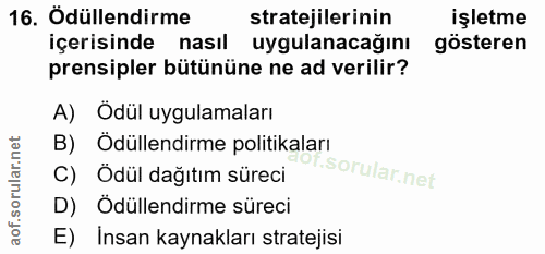 16. soru: Ödüllendirme stratejilerinin işletme içerisinde nasil uygulanacağını gösteren prensipler bütününe ne ad verilir? A) Ö…