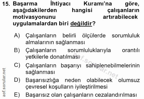 15. soru: Başarma İhtiyacı Kuramı'na göre, aşağıdakilerden hangisi çalışanların motivasyonunu artırabilecek uygulamalardan biri…