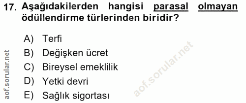 17. soru: Aşağıdakilerden hangisi parasal olmayan ödüllendirme türlerinden biridir? A) Terfi B) Değişken ücret C) Bireysel emek…