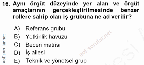 16. soru: Aynı örgüt düzeyinde yer alan ve örgüt amaçlarının gerçekleştirilmesinde benzer rollere sahip olan iş grubuna ne ad v…
