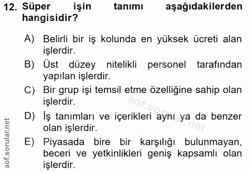12. soru: Süper işin tanimı aşağıdakilerden hangisidir? A) Belirli bir iş kolunda en yüksek ücreti alan işlerdir. B) Üst düzey…