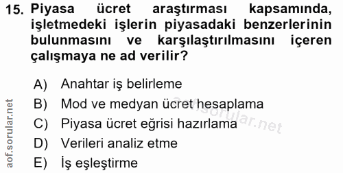 15. soru: Piyasa ücret araştırması kapsamında, işletmedeki işlerin piyasadaki benzerlerinin bulunmasını ve karşılaştırılmasını…