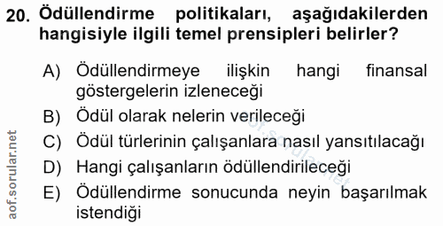 20. soru: Odüllendirme politikaları, aşağıdakilerden hangisiyle ilgili temel prensipleri belirler? A) Ödüllendirmeye ilişkin ha…