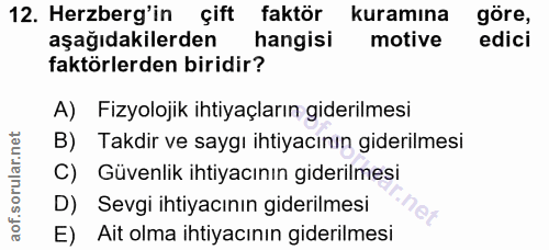 12. soru: Herzberg'in çift faktör kuramına göre, aşağıdakilerden hangisi motive edici faktörlerden biridir? A) Fizyolojik ihtiy…