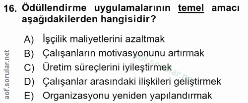 16. soru: Ödüllendirme uygulamalarının temel amacı aşağıdakilerden hangisidir? A) İşçilik maliyetlerini azaltmak B) Çalışanları…