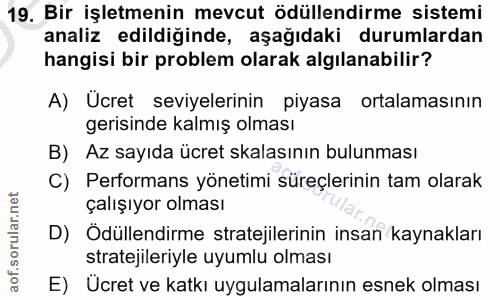 19. soru: Bir işletmenin mevcut ödüllendirme sistemi analiz edildiğinde, aşağıdaki durumlardan hangisi bir problem olarak algıl…