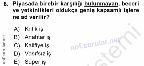 6. soru: Piyasada birebir karşılığı bulunmayan, beceri ve yetkinlikleri oldukça geniş kapsamlı işlere ne ad verilir? A) Kritik…