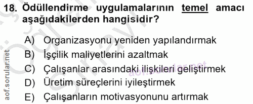 18. soru: Ödüllendirme uygulamalarının temel amacı aşağıdakilerden hangisidir? A) Organizasyonu yeniden yapılandırmak B) Işçili…