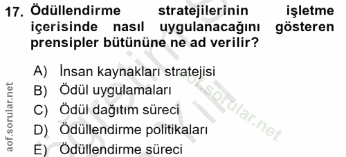 17. soru: Ödüllendirme stratejilerinin işletme içerisinde nasıl uygulanacağını gösteren prensipler bütününe ne ad verilir? A) I…