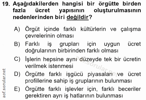 19. soru: Aşağıdakilerden hangisi bir örgütte birden fazla ücret yapısının oluşturulmasının nedenlerinden biri değildir? A) Örg…