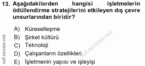 13. soru: Aşağıdakilerden hangisi işletmelerin ödüllendirme stratejilerini etkileyen dış çevre unsurlarından biridir? A) Kürese…