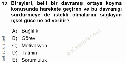 12. soru: Bireyleri, belli bir davranışı ortaya koyma konusunda harekete geçiren ve bu davranışı sürdürmeye de istekli olmaları…