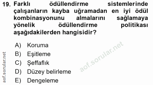 19. soru: Farkli ödüllendirme sistemlerinde çalışanların kayba uğramadan en iyi ödül kombinasyonunu almalarını sağlamaya yöneli…