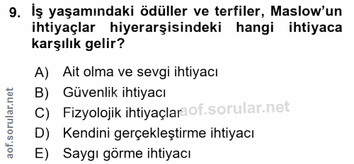 9. soru: İş yaşamındaki ödüller ve terfiler, Maslow'un ihtiyaçlar hiyerarşisindeki hangi ihtiyaca karşılık gelir? A) Ait olma…