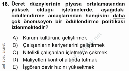 18. soru: Ücret düzeylerinin piyasa ortalamasından yüksek olduğu işletmelerde, aşağıdaki ödüllendirme amaçlarından hangisini da…