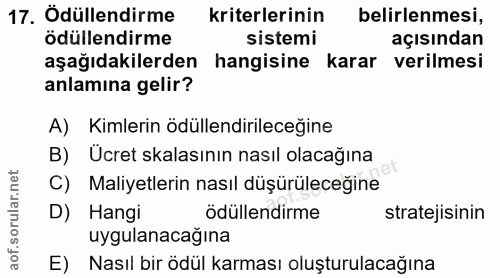 17. soru: Ödüllendirme kriterlerinin belirlenmesi, ödüllendirme sistemi açısından aşağıdakilerden hangisine karar verilmesi anl…