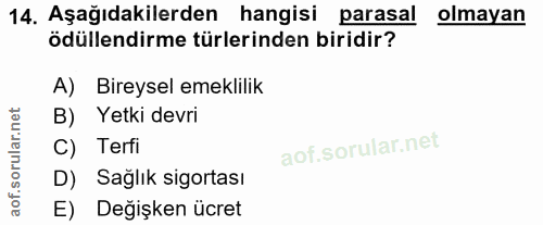 14. soru: Aşağıdakilerden hangisi parasal olmayan ödüllendirme türlerinden biridir? A) Bireysel emeklilik B) Yetki devri C) Ter…