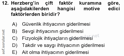 12. soru: Herzberg'in çift faktör kuramına göre, aşağıdakilerden hangisi motive edici faktörlerden biridir? A) Güvenlik ihtiyac…