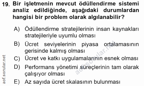19. soru: Bir işletmenin mevcut ödüllendirme sistemi analiz edildiğinde, aşağıdaki durumlardan hangisi bir problem olarak algıl…