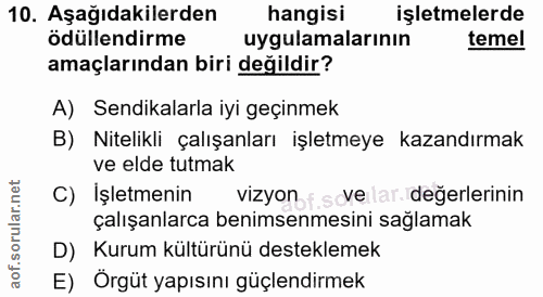 10. soru: Aşağıdakilerden hangisi işletmelerde ödüllendirme uygulamalarının temel amaçlarından biri değildir? A) Sendikalarla i…