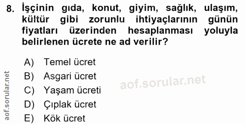 8. soru: İşçinin gıda, konut, giyim, sağlık, ulaşım, kültür gibi zorunlu ihtiyaçlarının günün fiyatları üzerinden hesaplanması…