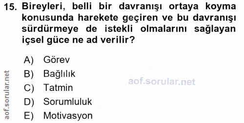 15. soru: Bireyleri, belli bir davranışı ortaya koyma konusunda harekete geçiren ve bu davranışı sürdürmeye de istekli olmaları…
