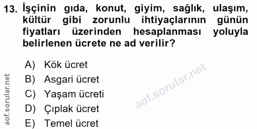 13. soru: İşçinin gıda, konut, giyim, sağlık, ulaşım, kültür gibi zorunlu ihtiyaçlarının günün fiyatları üzerinden hesaplanması…