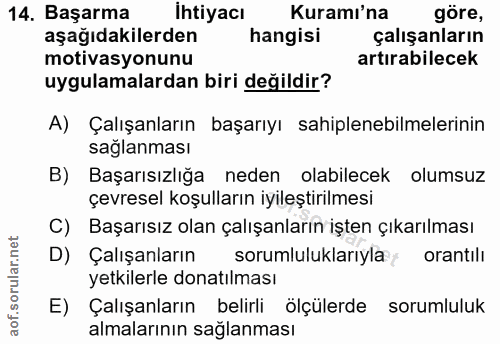 14. soru: Başarma İhtiyacı Kuramı'na göre, aşağıdakilerden hangisi çalışanların motivasyonunu artırabilecek uygulamalardan biri…