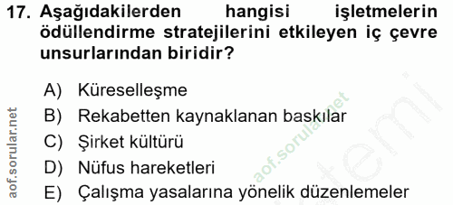 17. soru: Aşağıdakilerden hangisi işletmelerin ödüllendirme stratejilerini etkileyen iç çevre unsurlarından biridir? A) Küresel…