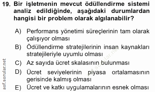 19. soru: Bir işletmenin mevcut ödüllendirme sistemi analiz edildiğinde, aşağıdaki durumlardan hangisi bir problem olarak algıl…