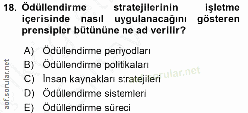 18. soru: Ödüllendirme stratejilerinin işletme içerisinde nasıl uygulanacağını gösteren prensipler bütününe ne ad verilir? A) Ö…