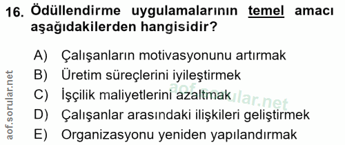 16. soru: Ödüllendirme uygulamalarının temel amacı aşağıdakilerden hangisidir? A) Çalışanların motivasyonunu artırmak B) Üretim…