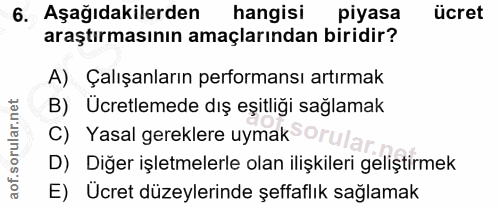 6. soru: Aşağıdakilerden hangisi piyasa ücret araştırmasının amaçlarından biridir? A) Çalışanların performansı artırmak B) Ucr…