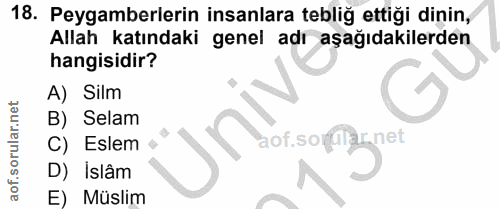 18. soru: Peygamberlerin insanlara tebliğ ettiği dinin, Allah katındaki genel adr aşağıdakilerden hangisidir? A) Silm B) Selam…