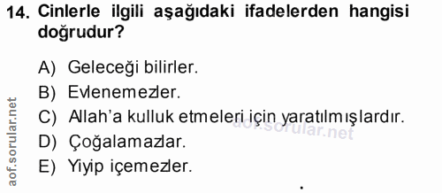14. soru: Cinlerle ilgili aşağıdaki ifadelerden hangisi doğrudur? A) Geleceği bilirler. B) Evlenemezler. C) Allah'a kulluk etme…