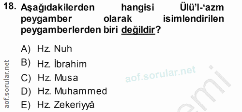 18. soru: Aşağıdakilerden hangisi Ülü'l-'azm peygamber olarak isimlendirilen peygamberlerden biri değildir? A) Hz. Nuh B) Hz. İ…