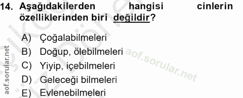 14. soru: Aşağıdakilerden hangisi cinlerin özelliklerinden biri değildir? A) Çoğalabilmeleri C) Yiyip, içebilmeleri D) Geleceği…