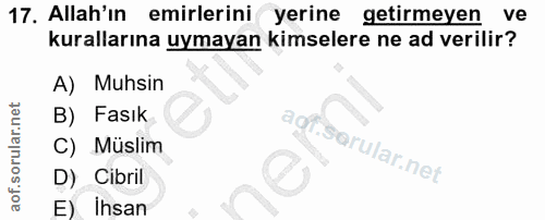 17. soru: Allah'ın emirlerini yerine getirmeyen ve kurallarına uymayan kimselere ne ad verilir? A) Muhsin B) Fasık agf.serular.…